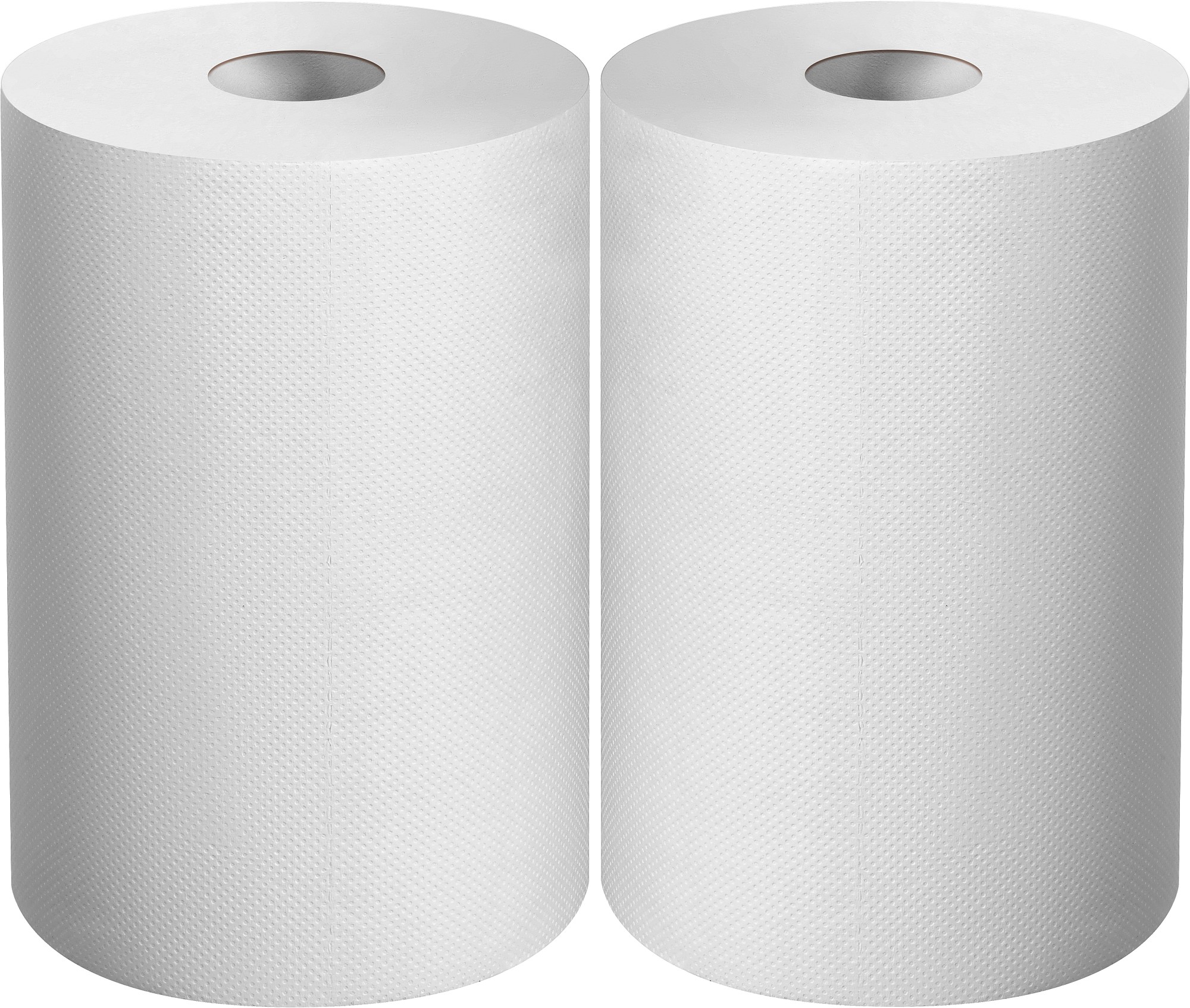 ЗУБР 20 х 25 см, 2-х слойная, в рулоне, 400 листов, 2 рулона, протирочная бумага, Профессионал (12822-20)