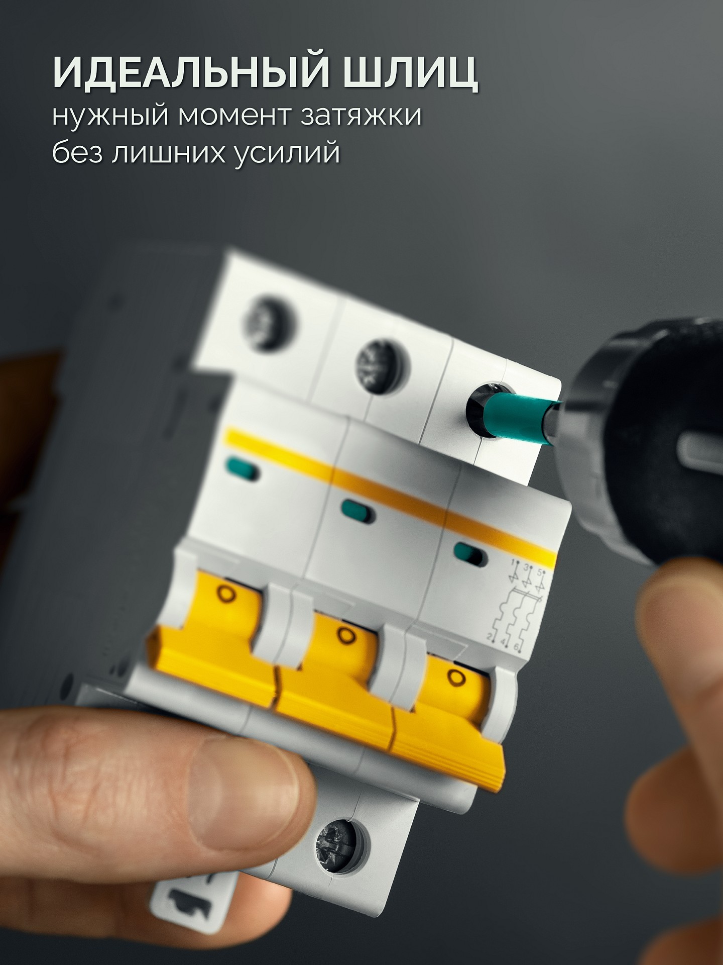 KRAFTOOL OPTIMUM PH/FL 1, 50 мм, 2 шт, биты (261221-1-50-2) — фото 3