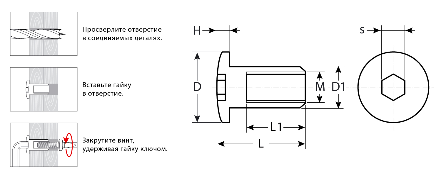 ЗУБР M6 x 12 мм, шест. 5 мм, цинк, 5 кг, гайка Эриксона с полукруглой головкой, Профессионал (303760-5) — фото 2