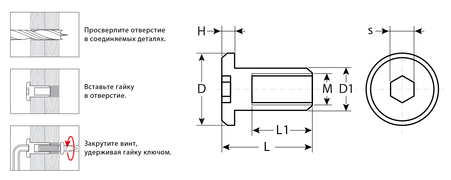 ЗУБР M6 x 12 мм, шест. 5 мм, цинк, 5 кг, гайка Эриксона с плоской головкой, Профессионал (303770-5) — фото 2