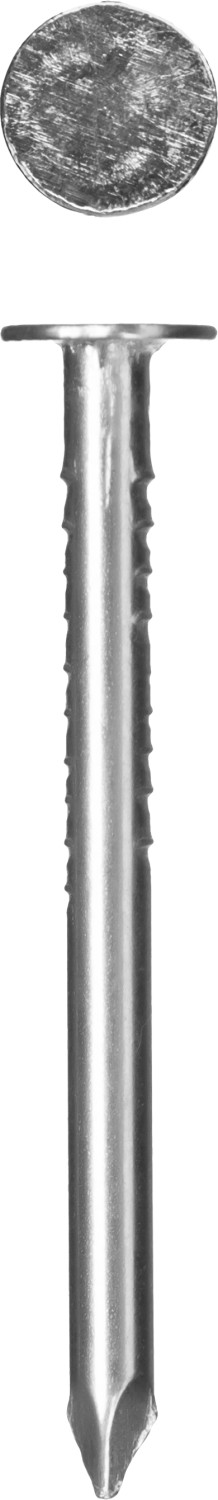 ЗУБР ГОСТ 4029-63, 40 x 3 мм, цинк, 5 кг, толевые гвозди (305210-30-040)