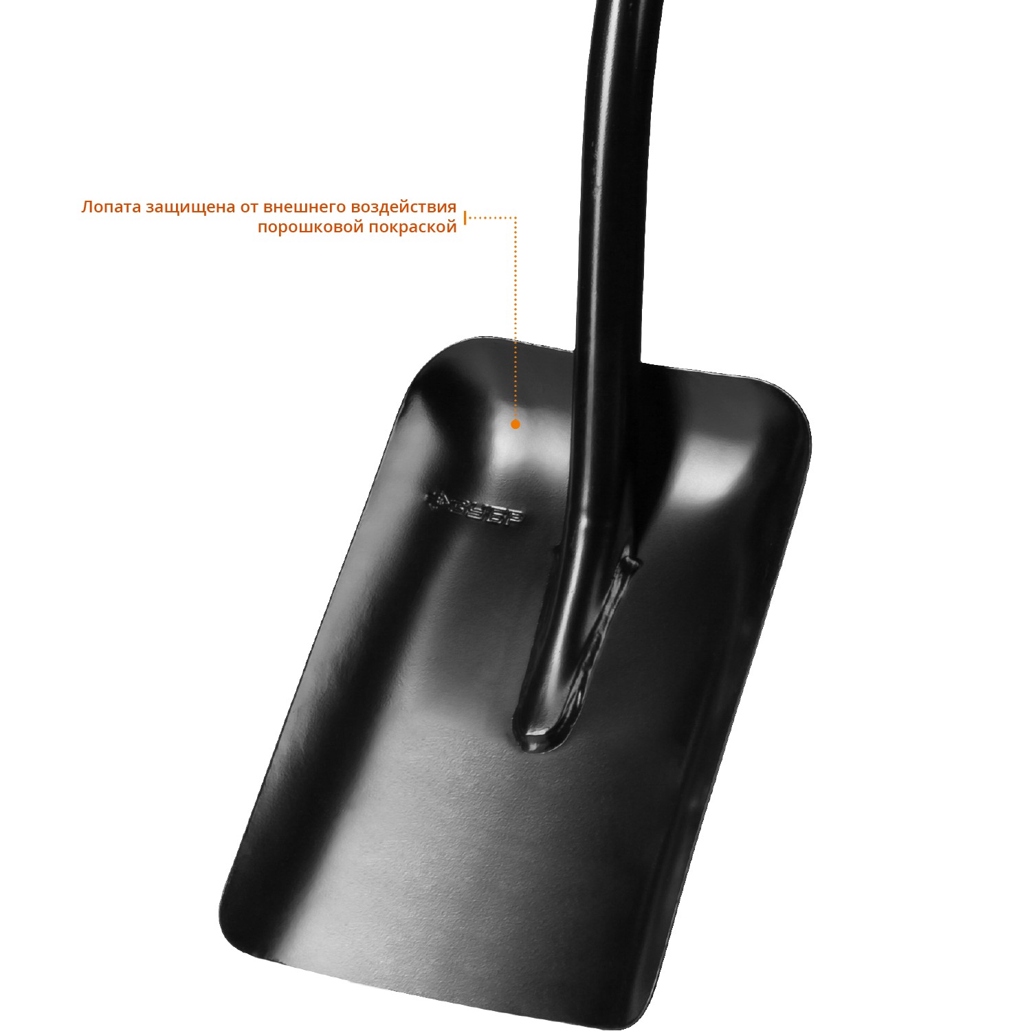 ЗУБР Артель, 120 см, стальной изогнутый черенок, совковая лопата, закаленное полотно, Профессионал (39556) — фото 3