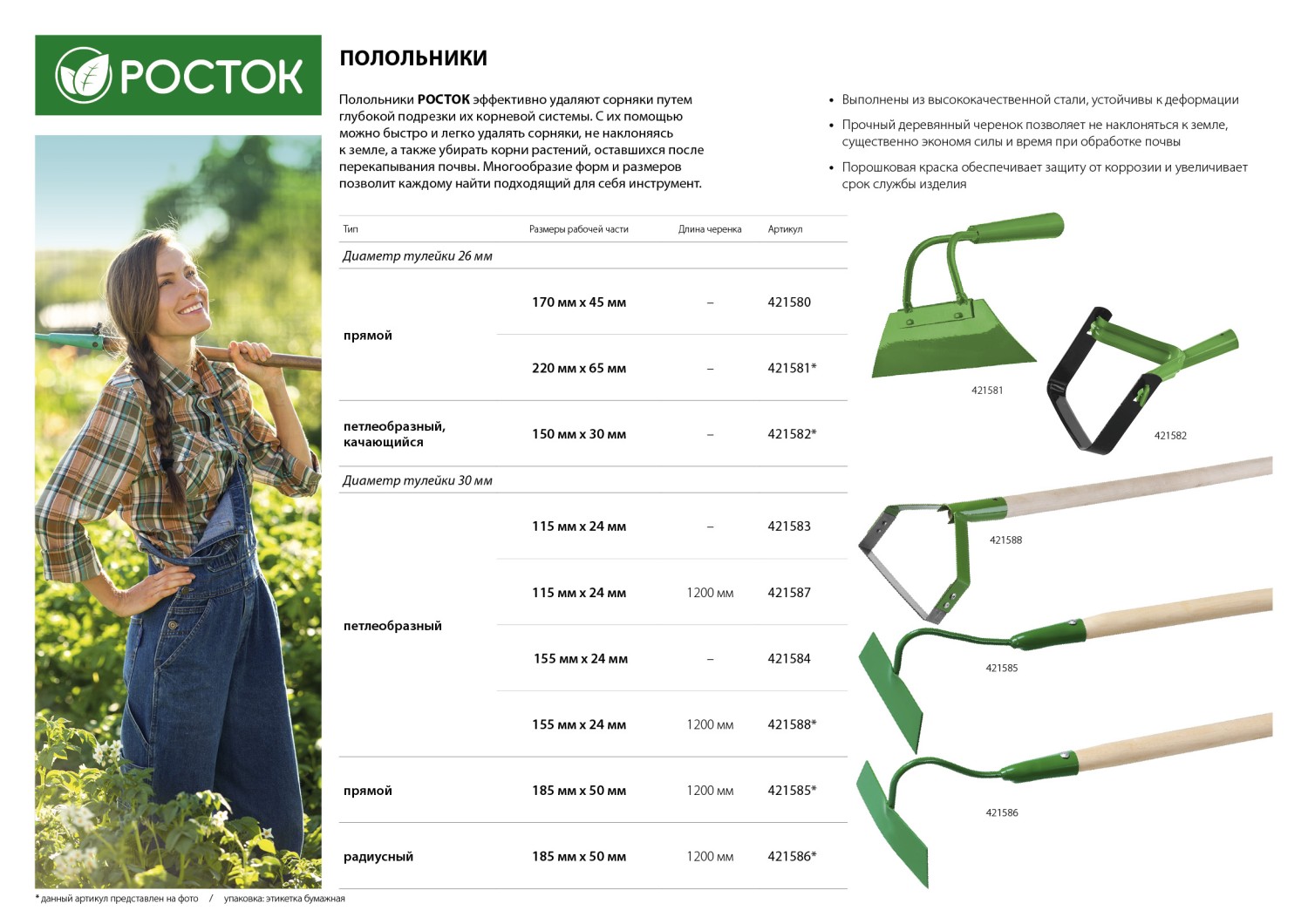 РОСТОК 115 х 24 мм, нержавеющая сталь, без черенка, петлеобразный полольник (421583) — фото 3