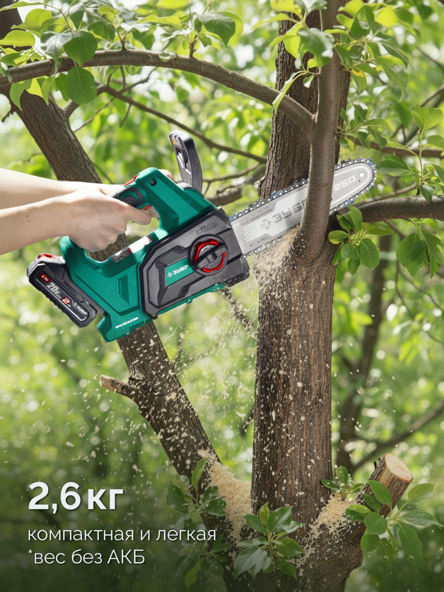 ЗУБР 20 В, 250 мм шина, без АКБ (LMS), пила цепная аккумуляторная (ПЦБ-2025) — фото 7