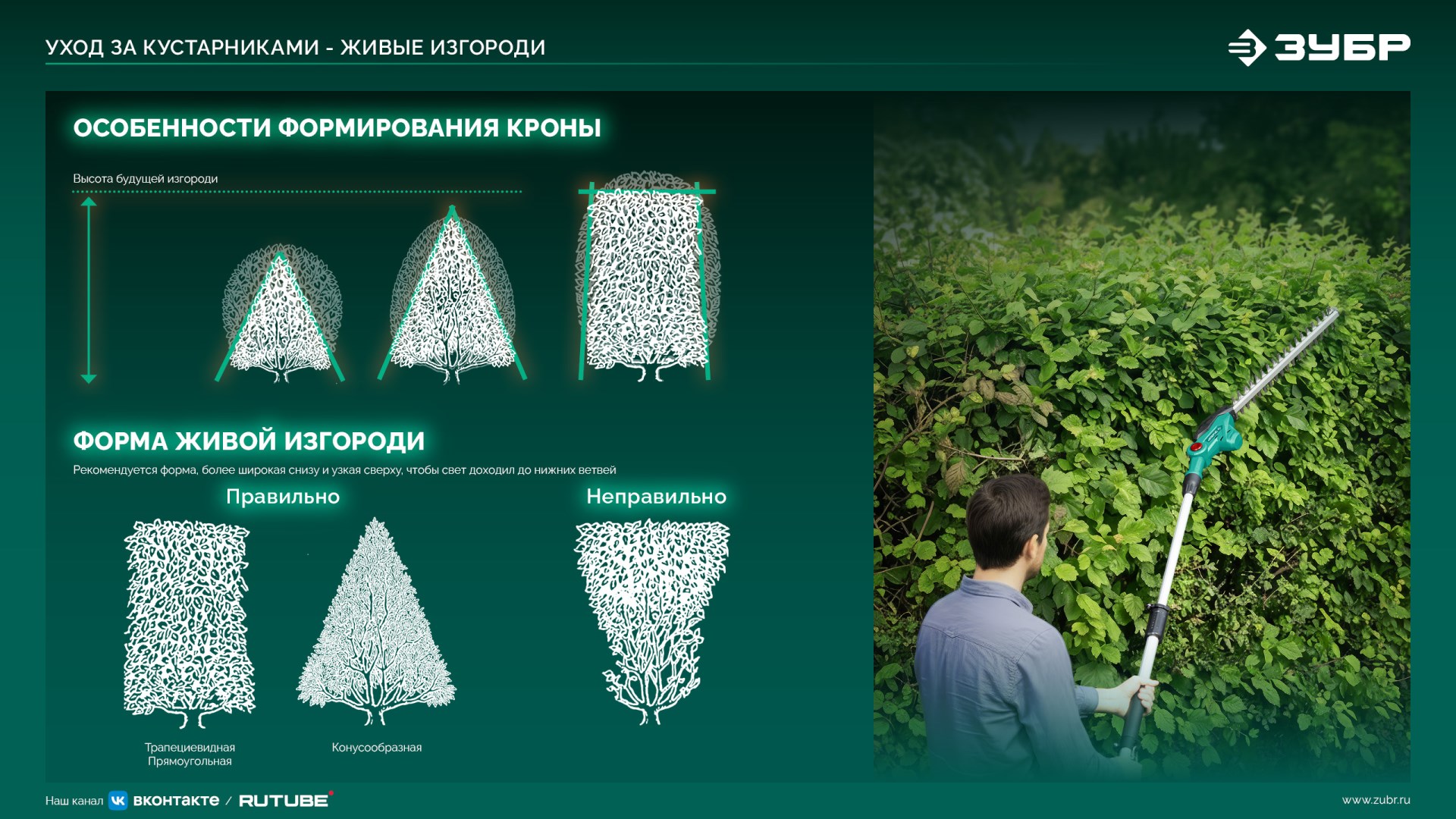 ЗУБР 40 В (2x20В), 610 мм, 2 АКБ LMS (4 Ач), кусторез аккумуляторный бесщеточный (КРА-4061-42) — фото 30
